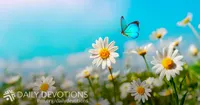 Daily Devotions from Lutheran Hour Ministries artwork