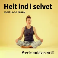24 spørgsmål til professoren artwork