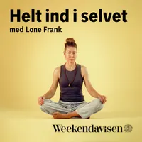 24 spørgsmål til professoren artwork
