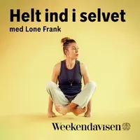 24 spørgsmål til professoren artwork