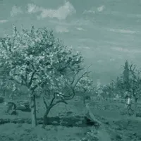 אש זרה Foreign Fire artwork