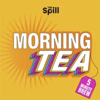 The Spill artwork