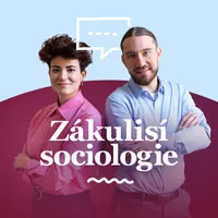 Zákulisí sociologie artwork