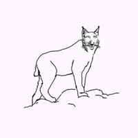 Catástrofe ultravioleta artwork
