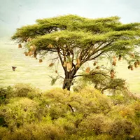 In Touch Ministries Daily Devotions artwork