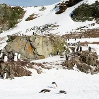 In Touch Ministries Daily Devotions artwork