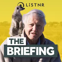 The Briefing artwork