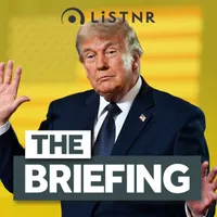 The Briefing artwork