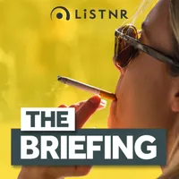 The Briefing artwork