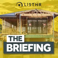 The Briefing artwork