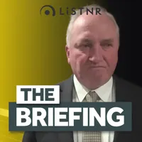 The Briefing artwork