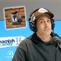Hamish & Andy artwork