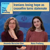 The Times of Israel Daily Briefing artwork