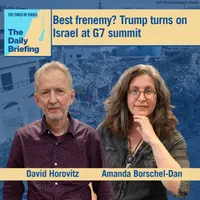 The Times of Israel Daily Briefing artwork