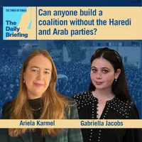 The Times of Israel Daily Briefing artwork