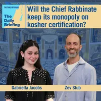 The Times of Israel Daily Briefing artwork