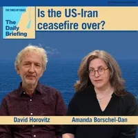 The Times of Israel Daily Briefing artwork