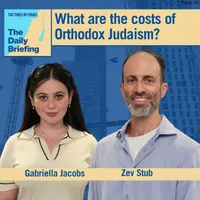 The Times of Israel Daily Briefing artwork