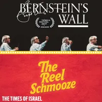 The Times of Israel Daily Briefing artwork