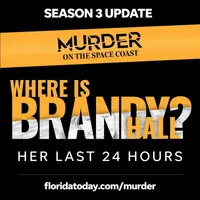Murder On The Space Coast artwork