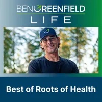 Boundless Life artwork