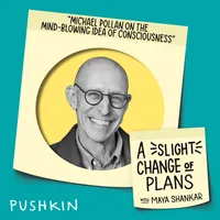 A Slight Change of Plans artwork
