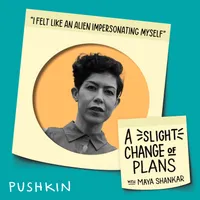 A Slight Change of Plans artwork