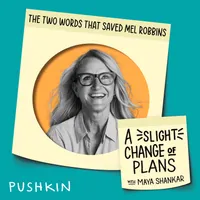 A Slight Change of Plans artwork