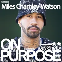 On Purpose with Jay Shetty artwork