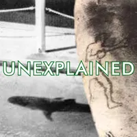 Unexplained artwork