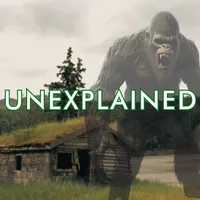 Unexplained artwork