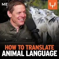 The MeatEater Podcast artwork