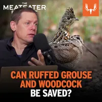 The MeatEater Podcast artwork