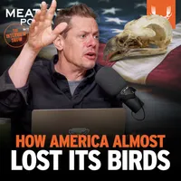 The MeatEater Podcast artwork
