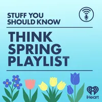 Stuff You Should Know artwork