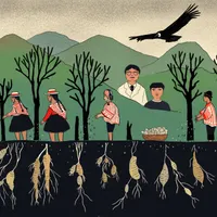 Radio Ambulante artwork