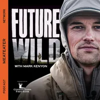 Wired To Hunt Podcast artwork