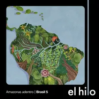 El hilo artwork