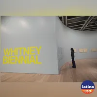 Latino USA artwork