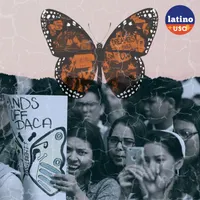 Latino USA artwork