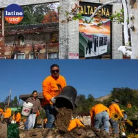 Latino USA artwork