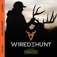 Wired To Hunt Podcast artwork