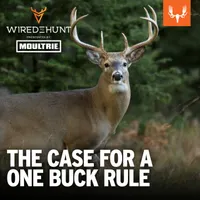 Wired To Hunt Podcast artwork
