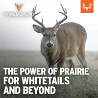 Wired To Hunt Podcast artwork