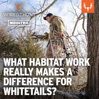 Wired To Hunt Podcast artwork
