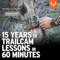 Wired To Hunt Podcast artwork