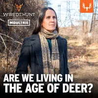 Wired To Hunt Podcast artwork