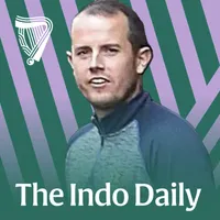 The Indo Daily artwork