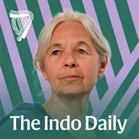 The Indo Daily artwork