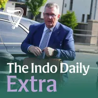 The Indo Daily artwork